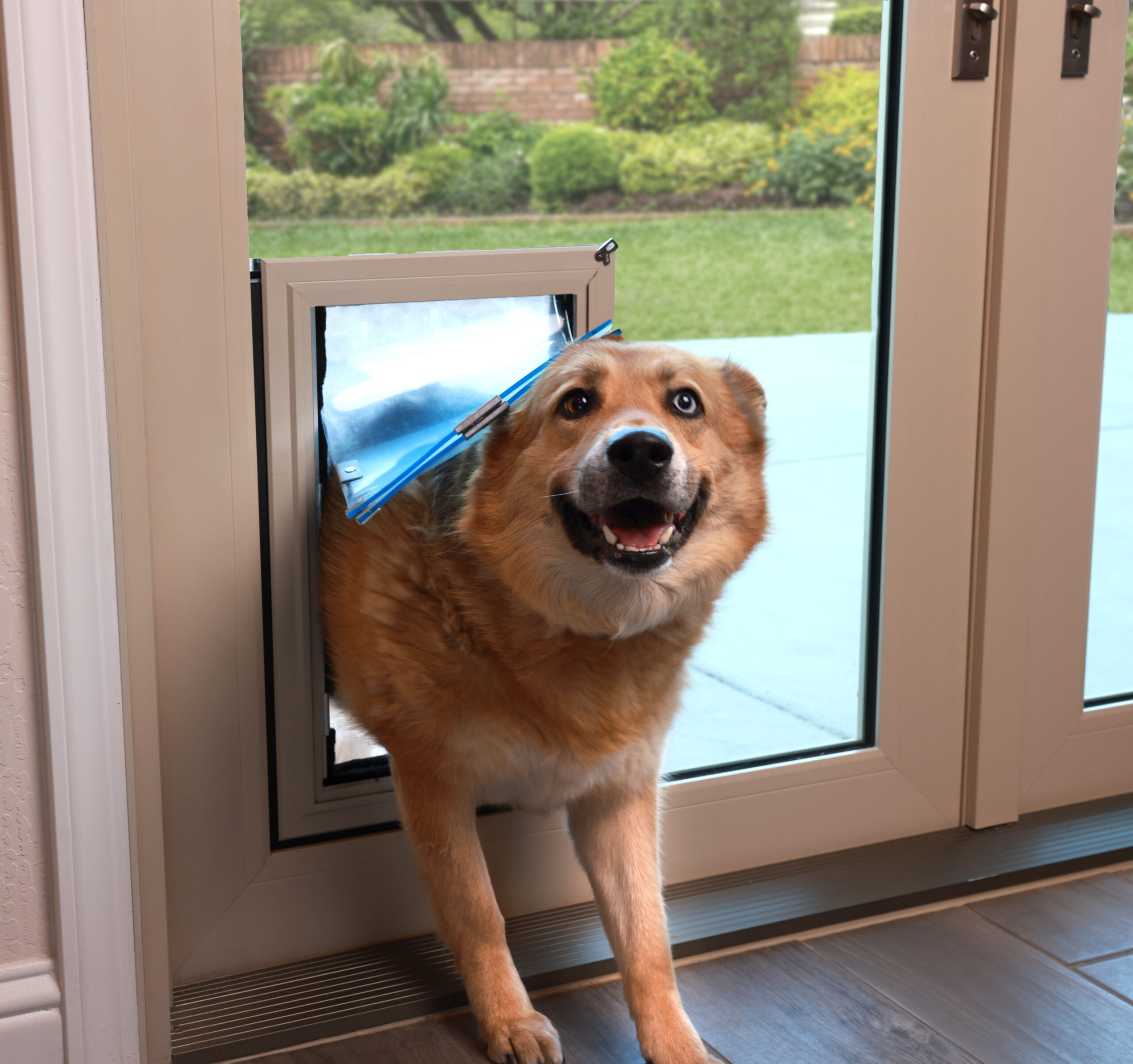 Anlin Pet Doors